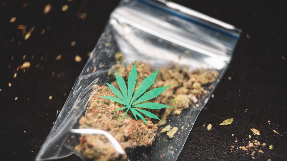 Oral Fluid Drug Testing NZ & AU Saliva Drug Detection TDDA