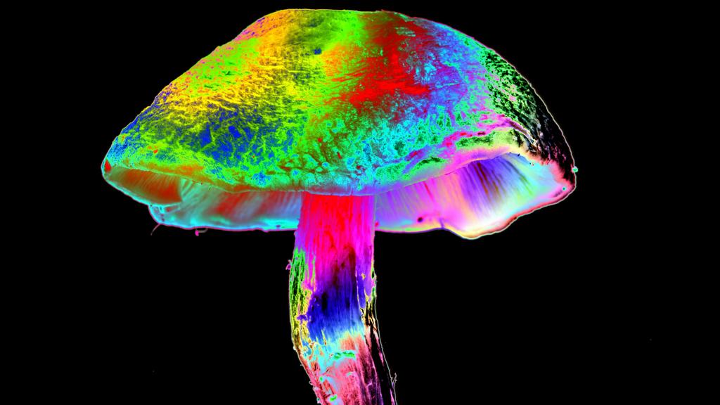 Australian treatments proceed as US advisory panel rejects evidence behind MDMA treatment for PTSD