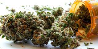 Opinion: Australia’s Leap into the Medicinal Cannabis Age: A Cautionary Tale in Progress